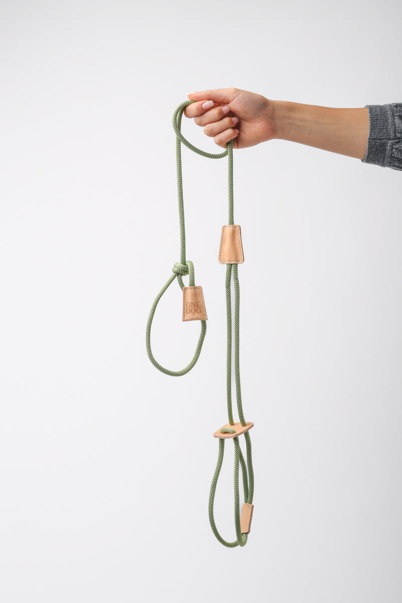 Guinzaglio 3 in 1 Bijoux Corda