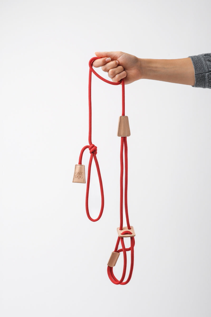Guinzaglio 3 in 1 Bijoux Corda