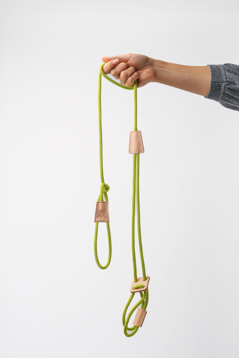 Guinzaglio 3 in 1 Bijoux Corda