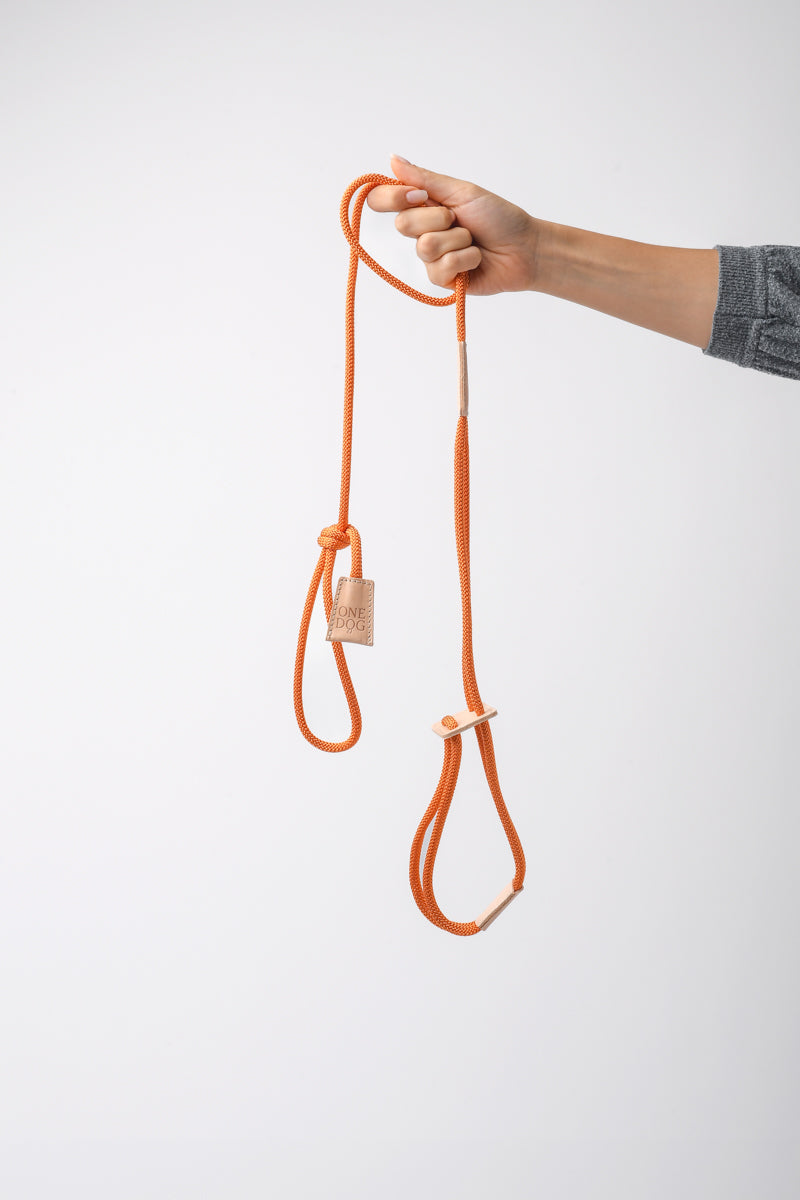 Guinzaglio 3 in 1 Bijoux Corda