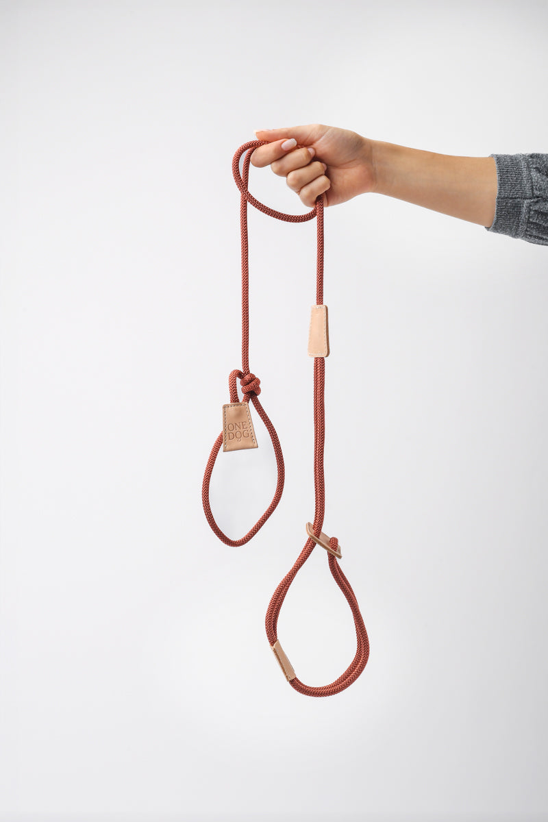 Guinzaglio 3 in 1 Bijoux Corda