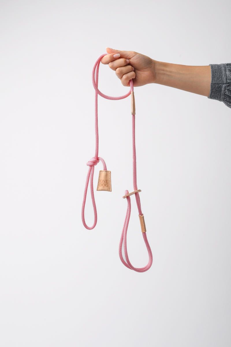 Guinzaglio 3 in 1 Bijoux Corda